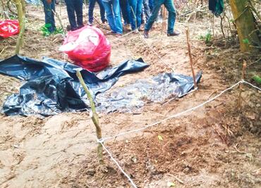 Piden ONGs adecuación del Registro Nacional de Fosas Comunes y Clandestinas