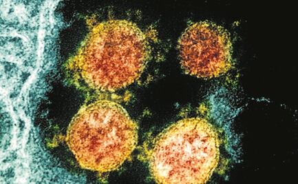 Covid-19: Desarrollan recubrimientos para reducir el coronavirus en superficies