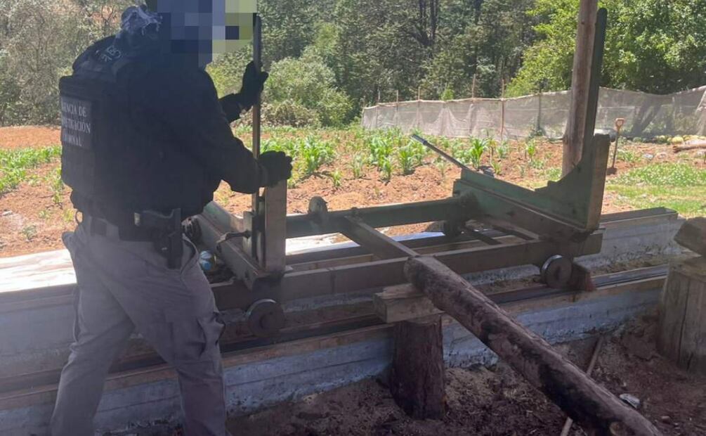 Realizan cateos por aprovechamiento ilegal de madera en Acaxochitlán, Hidalgo (22/05/2025). Foto: Especial