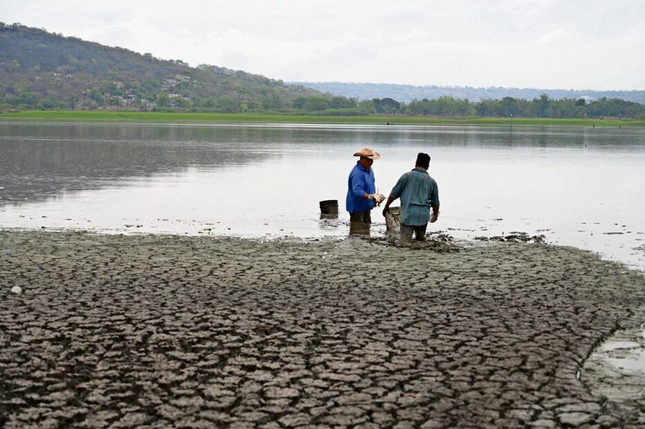 Autoridades de la Conagua y de la Ceagua confían en que la laguna de Coatetelco, en Morelos, logrará un llenado mínimo de 80% en la actual temporada de lluvias. Foto: Justino Miranda EL UNIVERSAL