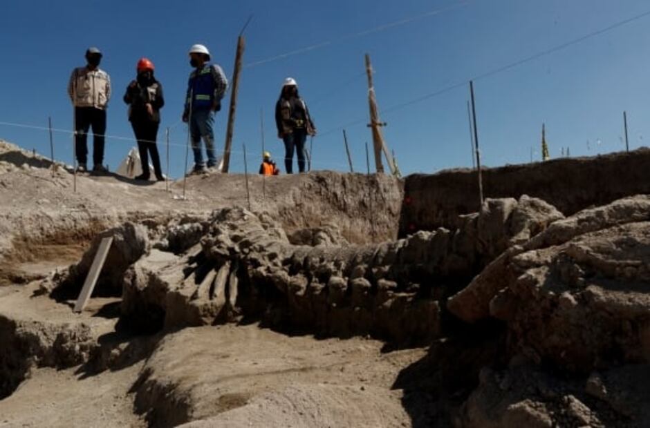 Así será el Museo del Mamut en el Aeropuerto Internacional Felipe Ángeles