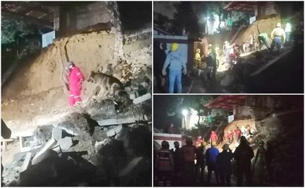 Continuan trabajos de rescate de perritos atrapados en derrumbe en Xochimilco  