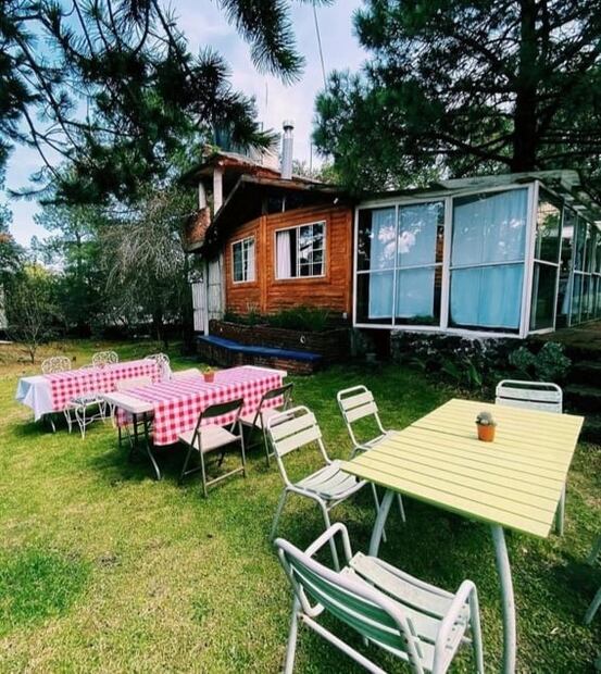 Lugares para comer en el bosque en plena CDMX