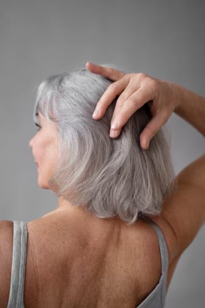 Canas. Fuente: Freepik