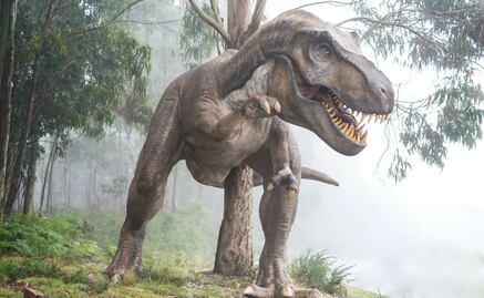 Este mapa te dice qué dinosaurios habitaron en la colonia donde vives