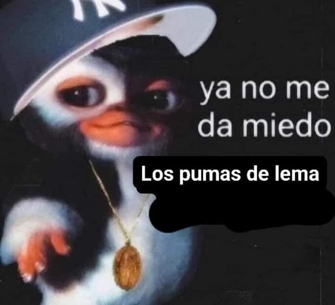 Memes Pumas
