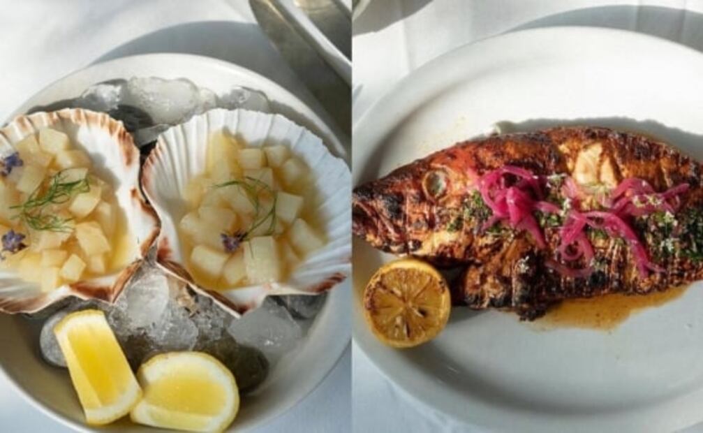 Lago / Algo en Chapultepec: nueva experiencia gastronómica y cultural en CDMX