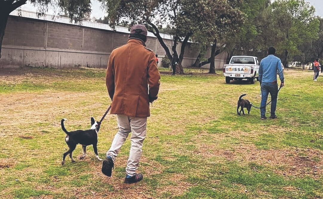 Desde diciembre pasado 539 personas han hecho trabajo comunitario en el Centro de Transferencia Canina del Metro. Foto Especial
