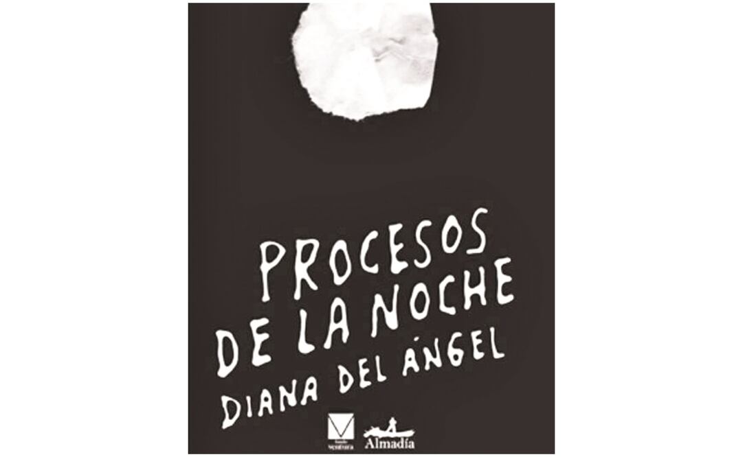 "Procesos de la noche", de Diana del Ángel, que aporta una visión diferente de la tragedia de Ayotzinapa. Foto: María Del Carmen Hernández