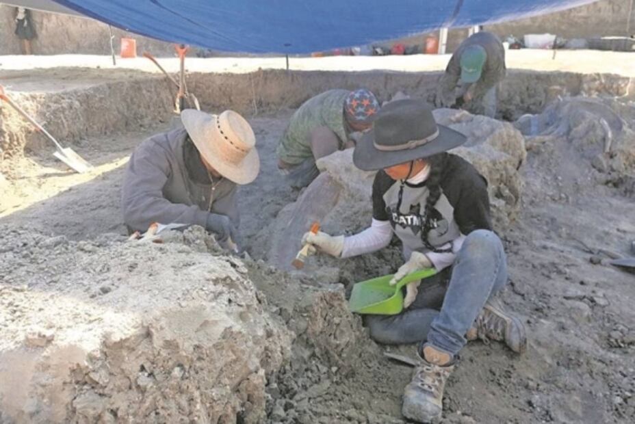 En abandono, restos arqueológicos en AIFA por falta de pago
