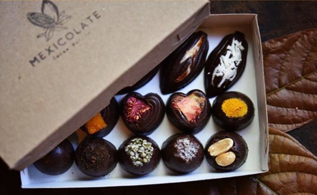 One of the many expositors you will find at the festival – Photo: Taken from the festival's Instagram page