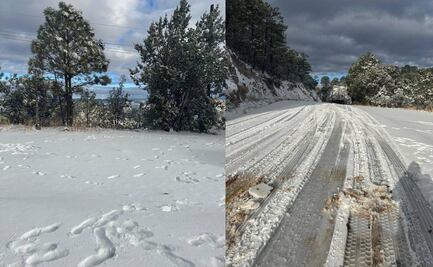 Frente frío 26: ¿En qué estados caerá nieve en esta semana?