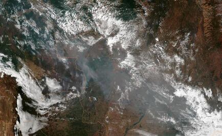 Estas son las consecuencias ambientales que dejarán los incendios en la Amazonia