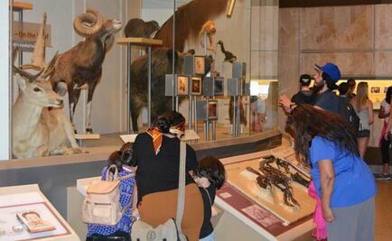 Museo de Historia Natural recibe a familias hispanas