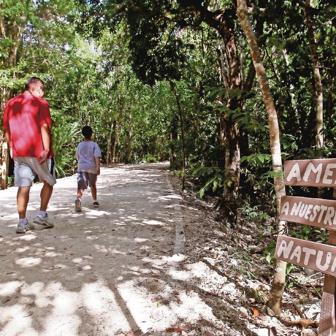 Académicos, investigadores y activistas consideran que es indispensable que el nuevo gobierno, del presidente Andrés Manuel López Obrador, cumpla con las leyes ambientales vigentes. ARCHIVO EL UNIVERSAL