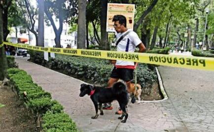 Reabren por completo zona canina en el Parque México