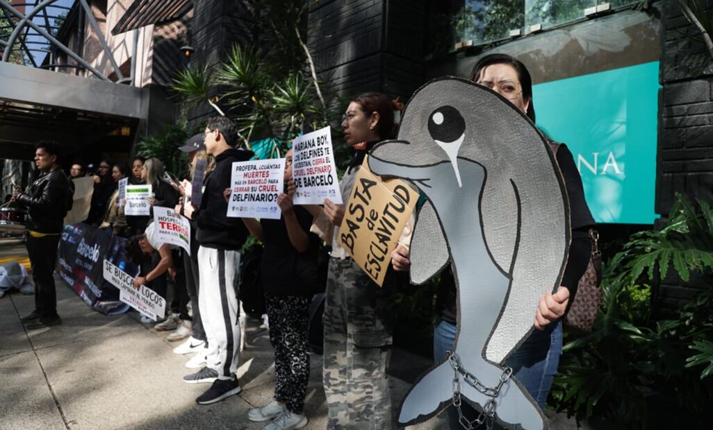 Activistas en Barceló Reforma pidieron a la titular de la Profepa cerrar el delfinario de Barceló Riviera Maya, tras el maltrato que se observa en un video que circuló en redes sociales. Foto: Carlos Mejía/EL UNIVERSAL