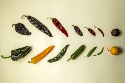 Glosario práctico de chiles mexicanos