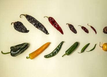 Glosario práctico de chiles mexicanos