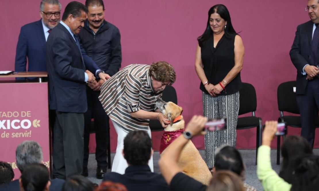 Foto: Jorge Alvarado/El Universal