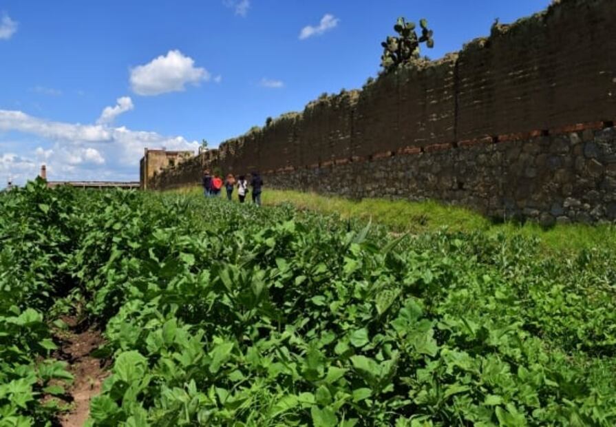 Conoce una exhacienda habitada por fantasmas, cerca de la Ciudad de México