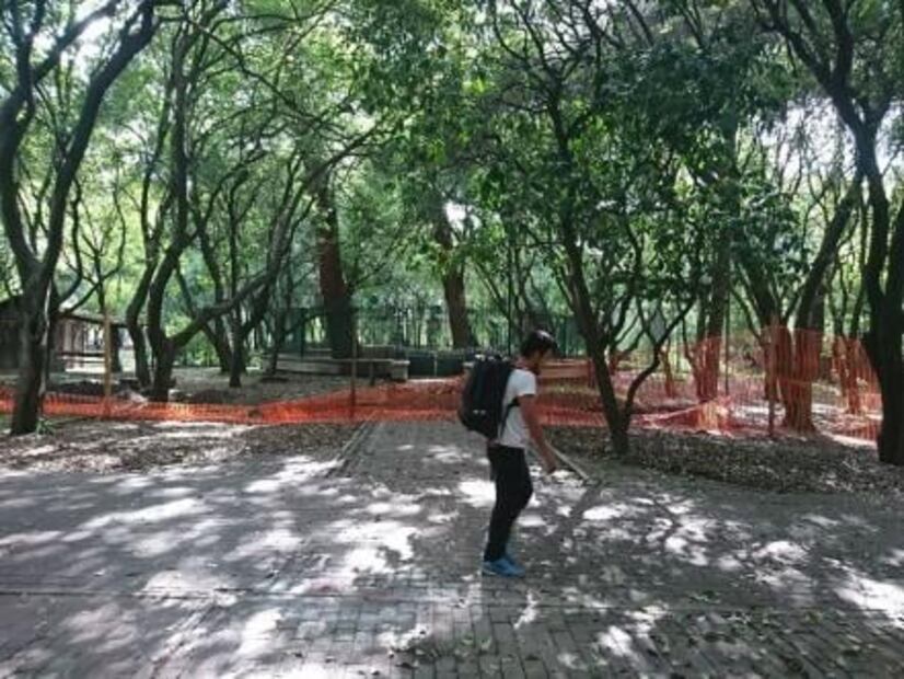 Un antiguo espacio para leer en Chapultepec