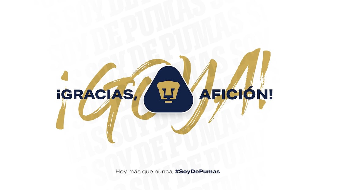 Pumas MEMES