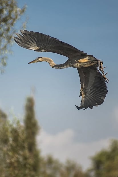 Así es ver el amanecer en Xochimilco sin turistas