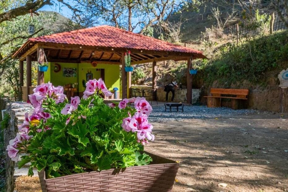 Foto: Rancho Suelo Vivo