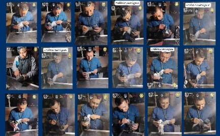 Mascotas rescatadas de albergue de la Narvarte están en resguardo de Fiscalía; animales tienen huellas de maltrato, dicen veterinarios 