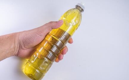 La popular alternativa al aceite de oliva que reduce los triglicéridos; conoce todos los beneficios