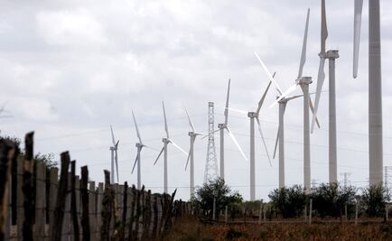 New wind farm in Tamaulipas: Largest in Latin America