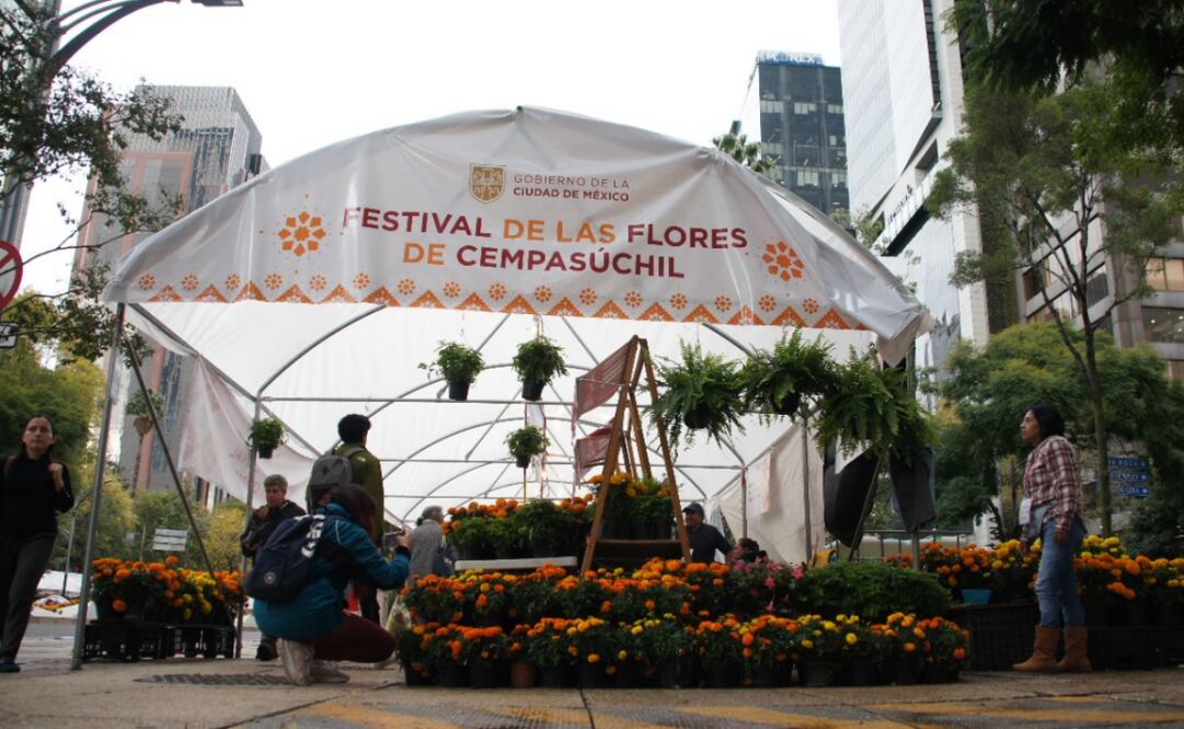 Venta de flores de cempasúchil (29/10/2024). Foto: Especial