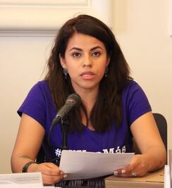 Urge que Derechos Humanos atienda violencia familiar en CDMX: PRD