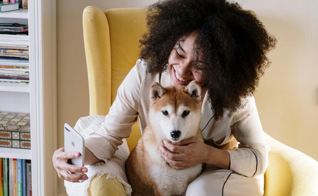 Foto: Pexels | cottonbro studio