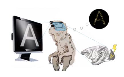 Desarrollan implante que podría dar visión a personas ciegas