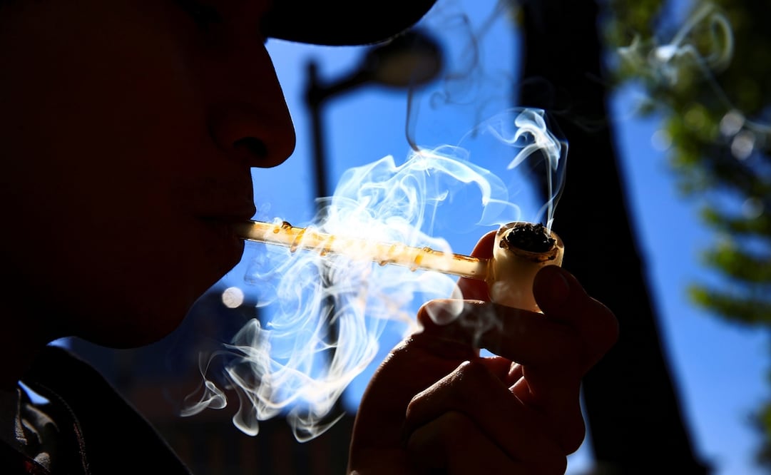 La aprobación del uso lúdico de la marihuana dejó varias dudas acerca de los alcances que tendrá para las personas y para las empresas. Foto: EFE