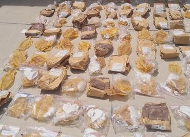 FGR quema vejigas natatorias y piezas de carne de pez totoaba
