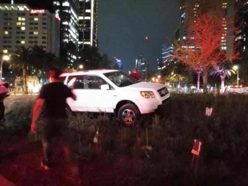Ahuehuetes y una Palma: los 3 inquilinos de la polémica glorieta en Paseo de la Reforma en menos de 1 año