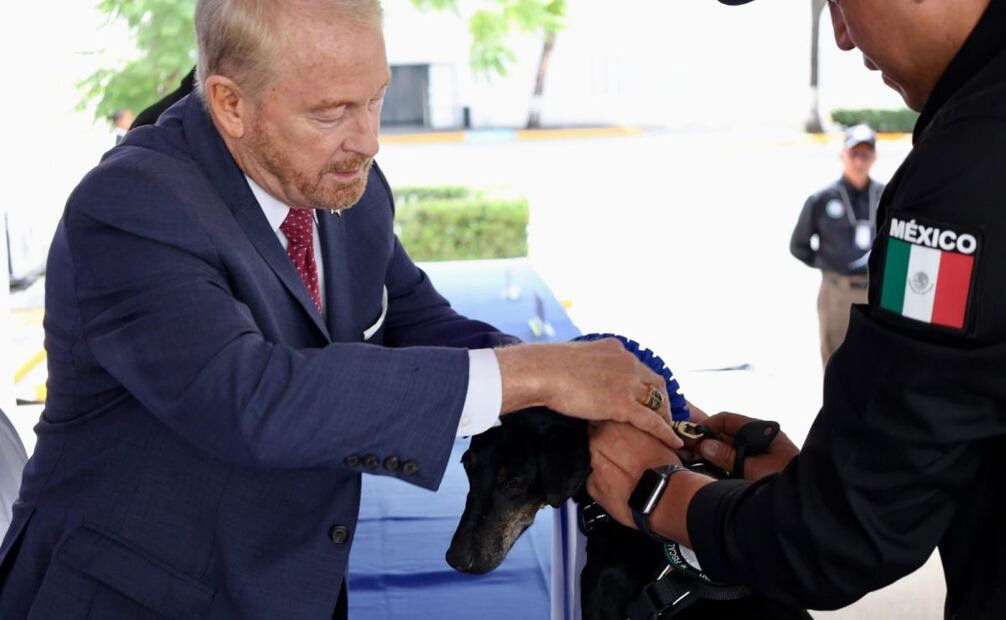 Ronald Johnson y Alejandro Gertz Manero "jubilan" a héroes de cuatro patas. Foto: Especial