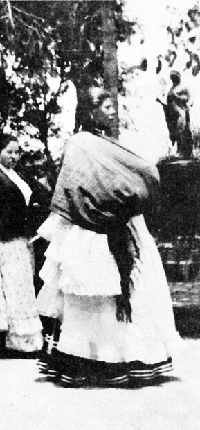La historia de las nanas, las madres sustitutas