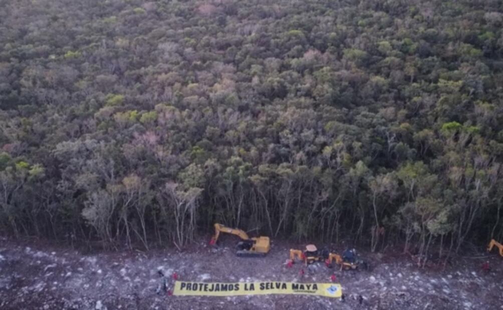 Nuevo trazo del Tren Maya pasa por caverna “Avispa enfadada”, descubierta desde el 2016
