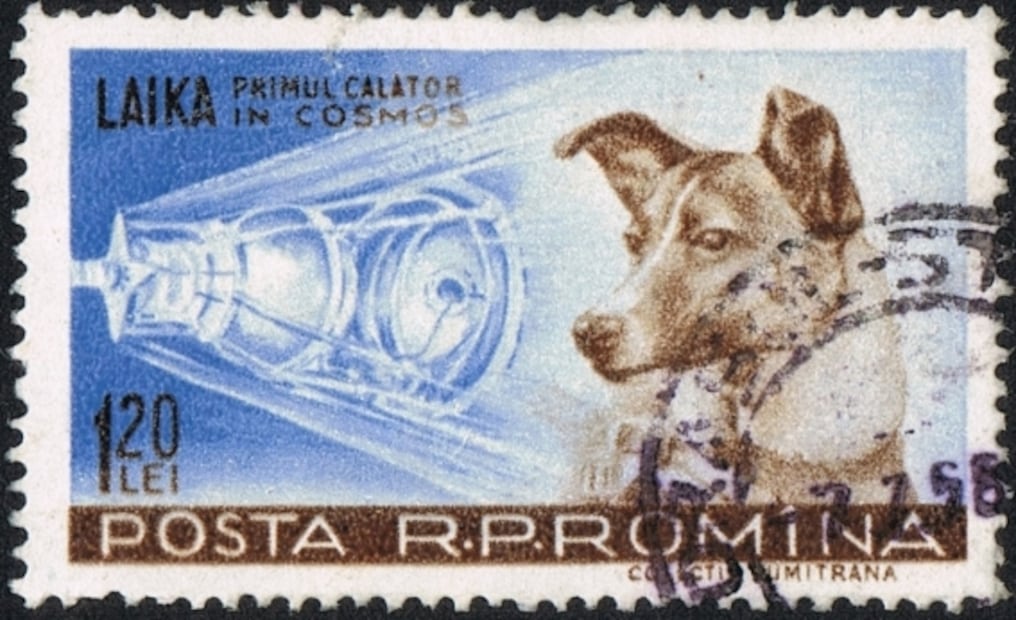 Cuando la perra Laika voló por el cielo de México, durante su viaje espacial en el Sputnik II