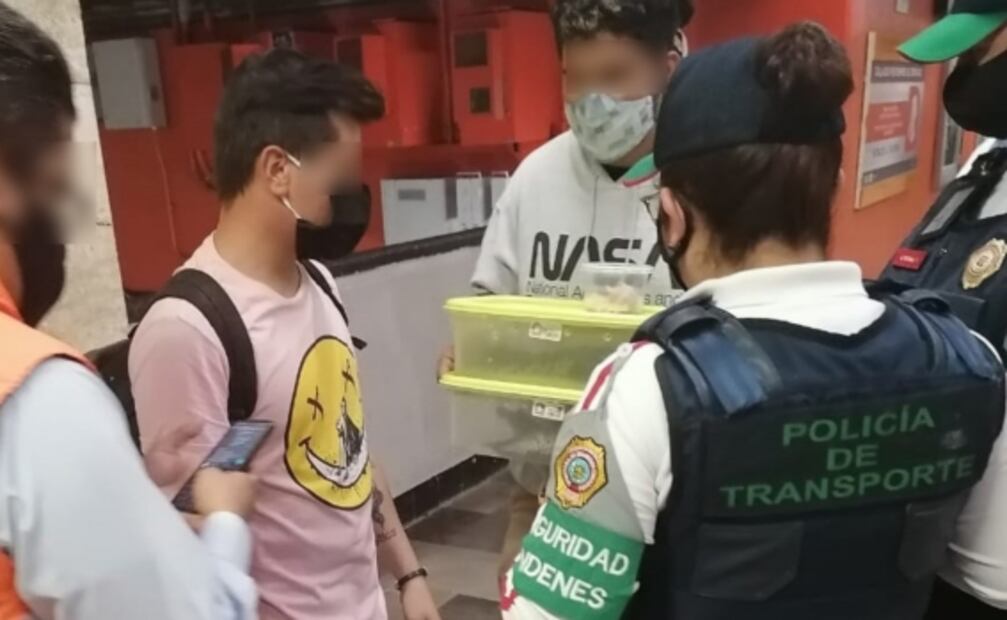 Detienen a jóvenes que llevaban dos cocodrilos dentro de cajas en Metro CDMX