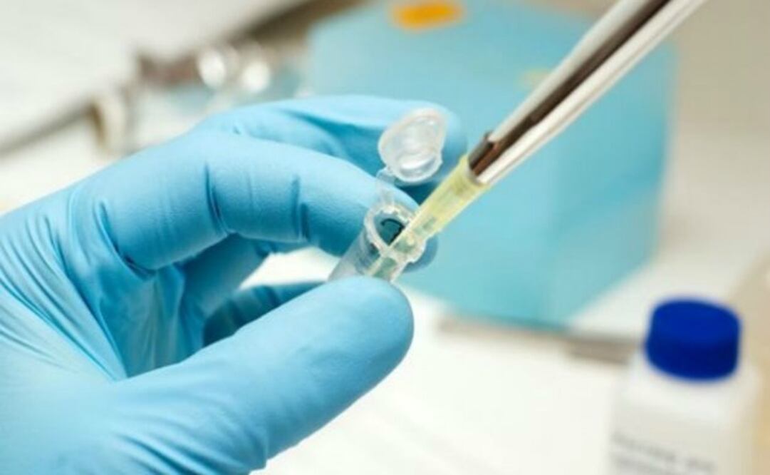 Normalmente cuando usamos los tratamientos sin estudiar la genética embrionaria tenemos 24 por ciento de abortos en tratamientos in vitro, y con el estudio DGP in vitro bajó a 9 por ciento.