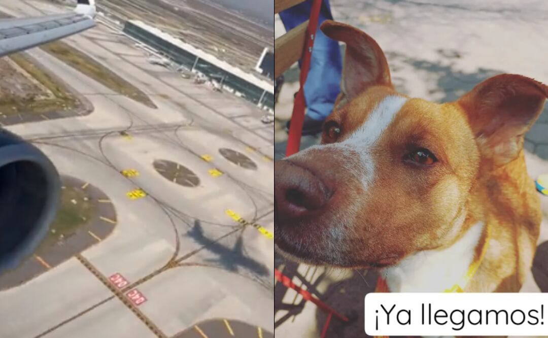 Foto: Captura de video/ Tras el reporte, el avión tuvo que hacer una maniobra para volver al aire inmediatamente