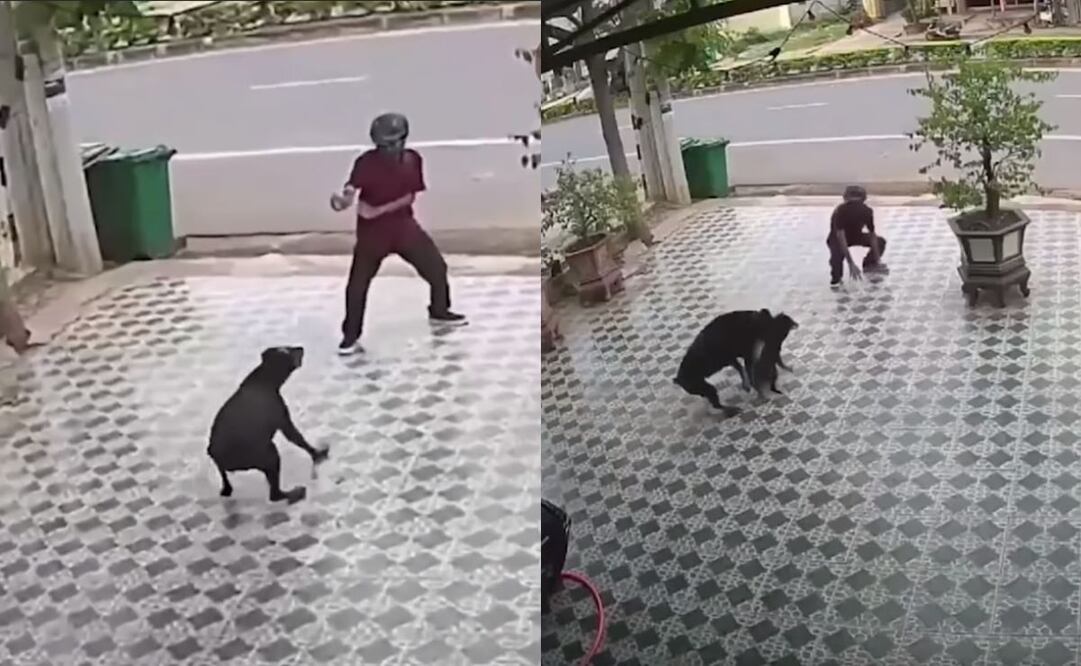 De acuerdo con los usuarios de redes, sucedió en Vietnam. 