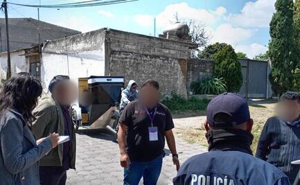Al menos 9 perritos mueren tras consumir carne envenenada en Tlaxcala; autoridades investigan