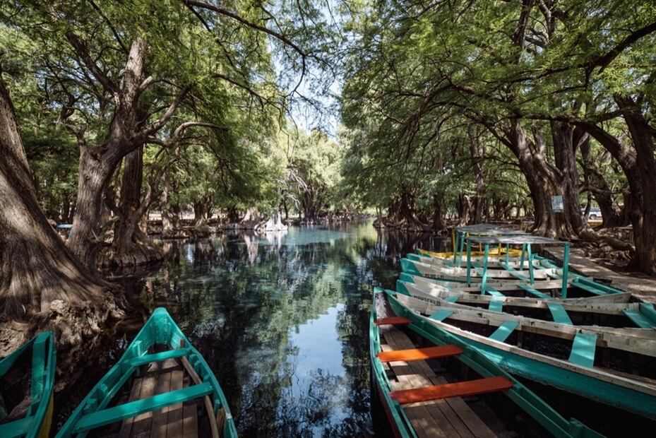 Parque Nacional Lago de Camécuaro. Foto: Sectur Michoacán