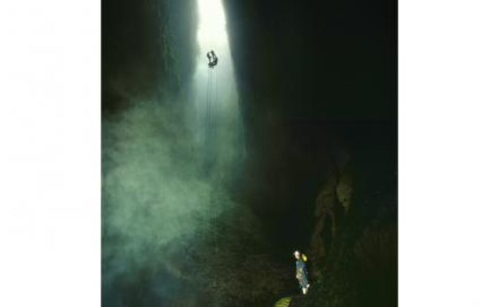 Conoce los bichos que iluminan las Cuevas de Waitomo